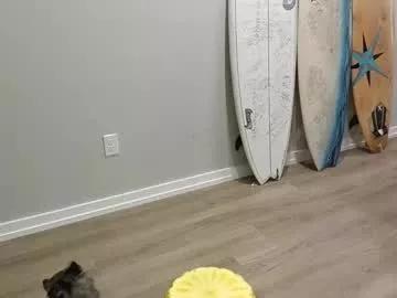 ariicutekitty from Chaturbate is Freechat