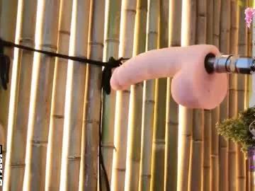 caseylucious from Chaturbate is Freechat