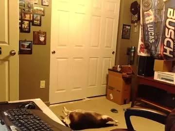 indianapapa from Chaturbate is Freechat