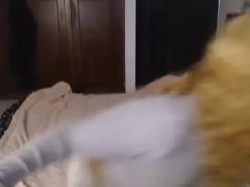 lostcausenef from Chaturbate is Freechat