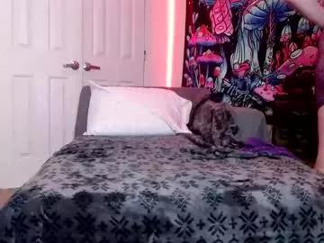 starvega1313 from Chaturbate is Freechat