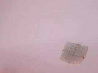 cloe_rhett from Flirt4Free is Freechat