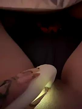 Dreamsn from StripChat is Freechat