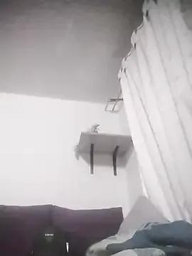 Little_Hadde from StripChat is Freechat