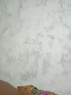 Softecho-03 from StripChat is Freechat