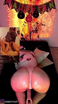 SweetyCatt1 from StripChat is Freechat