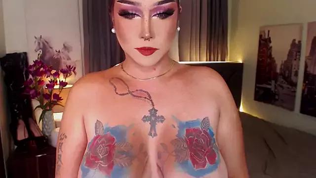 Transdomts4u from StripChat is Freechat