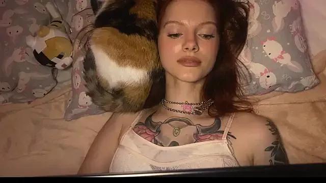 Photos of wild_kittten from StripChat is Private