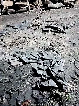 Ankitahot1993 on StripChat