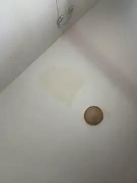 baadievino on StripChat 