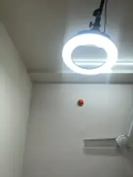 Cutenikkibaby on StripChat