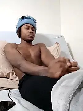 DarkSkinStroker — Buy a black hairless cat