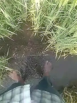 Desi_boy_fuck — Masturbation 