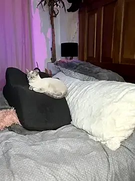 Draculona-666 on StripChat