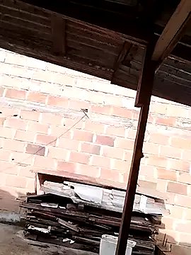 hoteder on StripChat