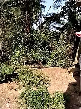 iam-eli on StripChat