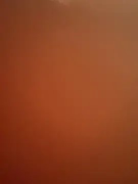 Musae — Pussy play