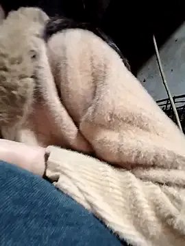 Sinejdk3 — Private on StripChat