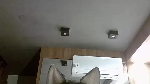 SkinnyKitten — stand uplevantar