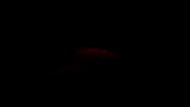 VenezuelaLuxeNoir — Suck a dildo for 10 minutes