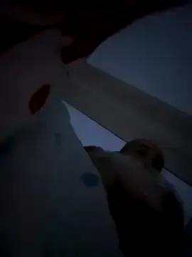 VyC7564 — Suck my cock pussy and ass